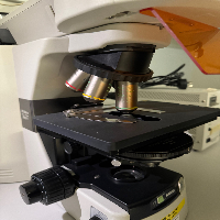 Nikon Eclipse 80i microscope image 0